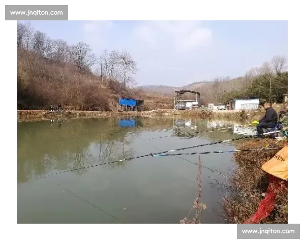 芜湖乡村文旅季 “村钓” 收竿：千顷碧波间的渔乐终章